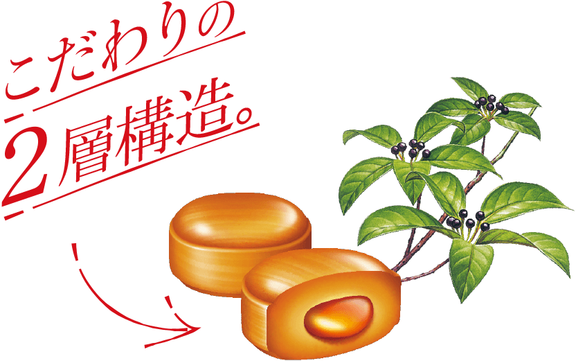 こだわりの２層構造。
